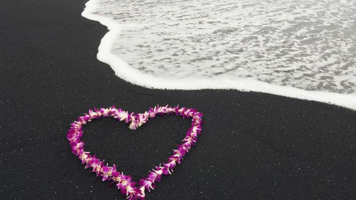 A Heart Made Of Flowers At Sea Side